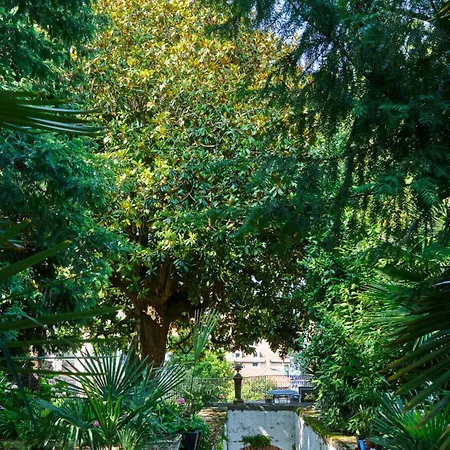 Oasis