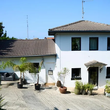 Oasis Bed & Breakfast